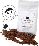 Fresh Arabica coffee beans Nicaragua (1000g) - Coffee