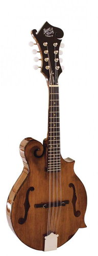 Barnes & Mullins BM650 - Mandolin - Main image