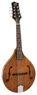 Barnes & Mullins BM600E - Mandolin