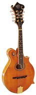 Barnes & Mullins BM700 - Mandolin
