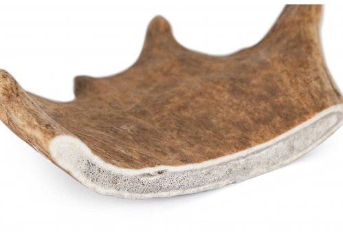 Hunting Dog Ducks antlers M - Fallow Antler Dog Chew - Main image