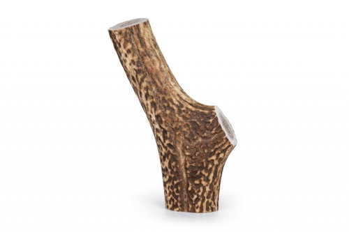 Hunting Dog deer antler full, XS - Fallow Antler Dog Chew - Main image