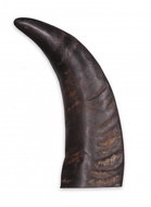 Hunting Dog buffalo horn hollow, M - Fallow Antler Dog Chew