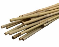 Igotrend Tyč k rostlinám BAMBUS 150 cm, síla 1,2 - 1,4 cm, set 10 ks - Opora pro rostliny