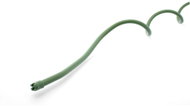 Igotrend Tomato spiral bar, metal / PVC 1,1 × 180 cm green, set of 3 - Plant Support