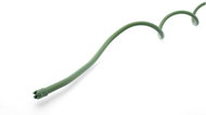IGOTREND Opora pro rostliny - spirálová, kovová, 1,1 × 180 cm, zelená - Opora pro rostliny