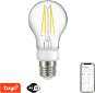 Immax NEO LITE Smart Filament Vintage LED E27 7W Warm, Cool White, Dimmable, WiFi - LED Bulb