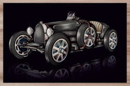 IMPAR Placemats Bugatti type 3 - Placemat