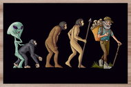 IMPAR Placemats Evolution of a mushroom picker - Placemat