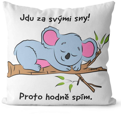 Impar pillow I'm going for dreams - Pillow - Main image