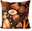 Pillow Bonboniera