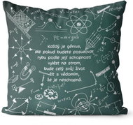 Impar Pillow Everyone is a genius - Pillow