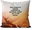 Pillow Before you give up anything