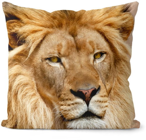 Impar polštář Lví pohled - Pillow - Main image