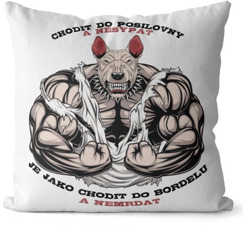 Impar Pillow Go to the gym - Pillow - Main image