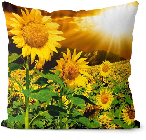 Impar pillow Sunflower field - Pillow - Main image