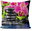Pillow Orchid with black stones