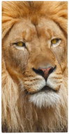 Impar Osuška Lví pohled, 70 × 140 cm - Bath Towel