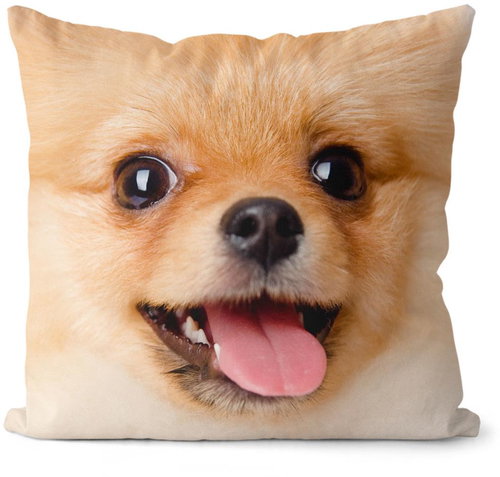 Impar Boo - Pillow - Main image