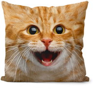 Impar Číča ginger - Pillow