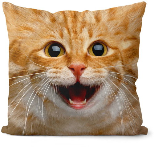 Impar Číča ginger - Pillow - Main image