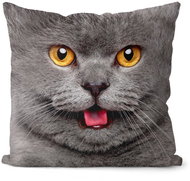 Impar Číča grey - Pillow