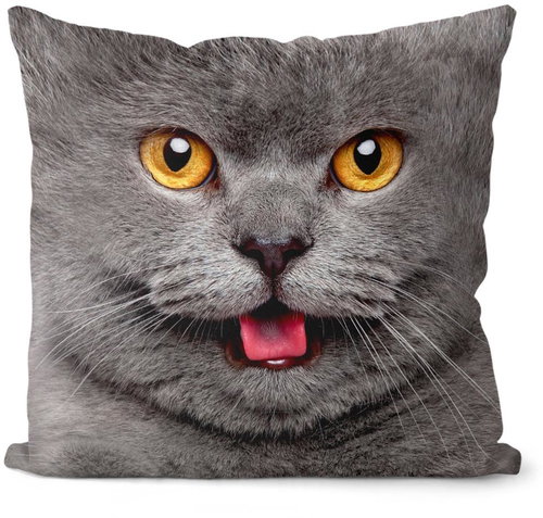 Impar Číča grey - Pillow - Main image