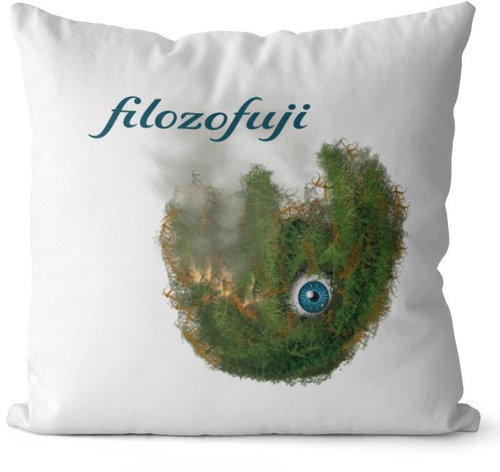 Impar Philosophizing - Pillow - Main image
