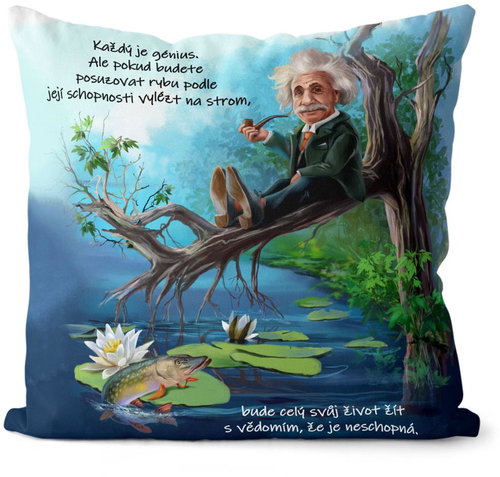 Impar Génius - Pillow - Main image