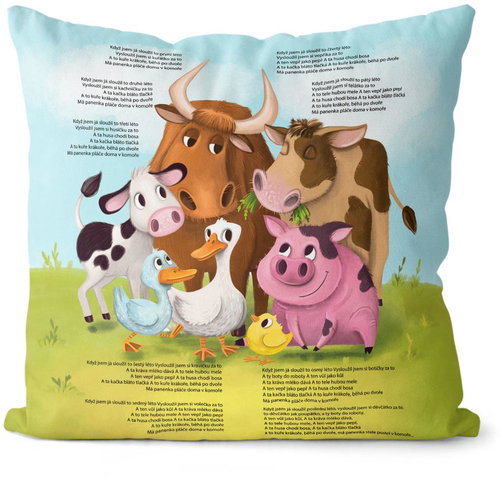 Impar When I served - Pillow - Main image