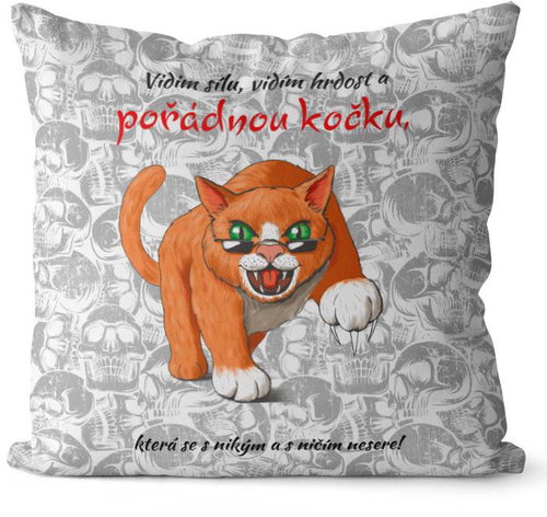 Impar A proper cat - Pillow - Main image