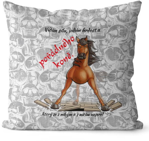 Impar A proper horse - Pillow - Main image