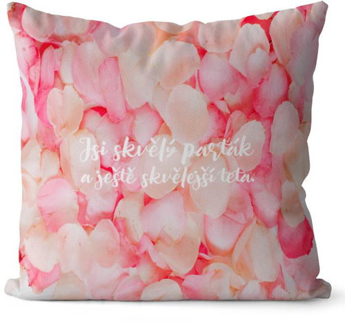 Impar Skvělejší teta - Pillow - Main image