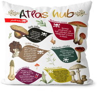 Impar Atlas hub - Pillow