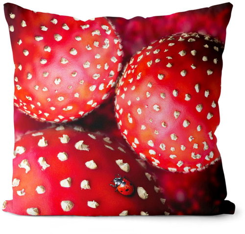 Impar Toadstools - Pillow - Main image