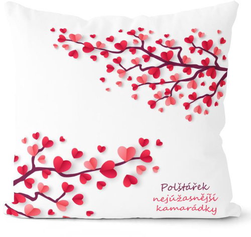 Impar Nejúžasnější kamarádky - Pillow - Main image