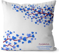 Impar Nejúžasnějšího kamaráda - Pillow