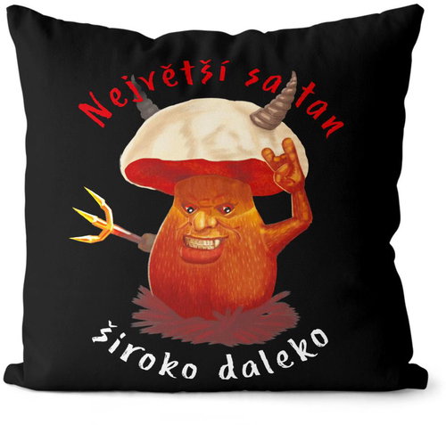 Impar Satan - Pillow - Main image