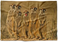 IMPAR Fleece blanket Surikaty, 200 × 140 cm - Blanket