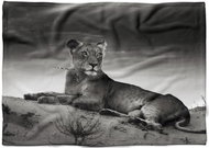 IMPAR Fleece blanket Lying lioness, 200 × 140 cm - Blanket