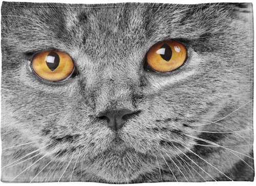 IMPAR Fleece blanket Cat's eye, 150 × 120 cm - Blanket - Main image
