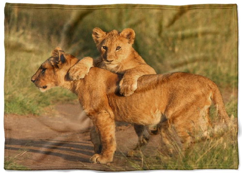 IMPAR Fleece blanket Lion cubs, 150 × 120 cm - Blanket - Main image