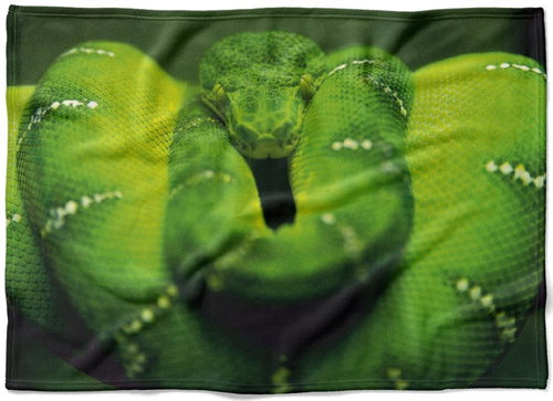IMPAR Fleece blanket Green snake, 150 × 120 cm - Blanket - Main image