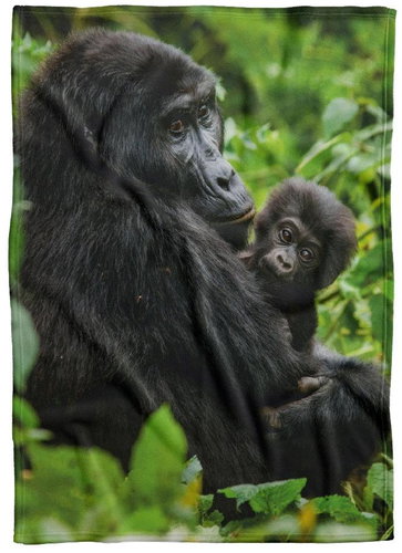 IMPAR Fleece blanket Gorilla and cub, 150 × 120 cm - Blanket - Main image