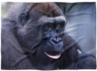 IMPAR Fleece blanket Gorilla, 150 × 120 cm - Blanket
