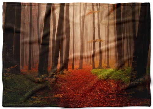 IMPAR Fleece blanket Forest in autumn, 200 × 140 cm - Blanket - Main image