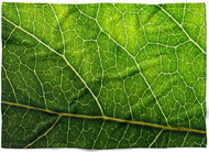 IMPAR Fleece blanket Leaf, 200 × 140 cm - Blanket