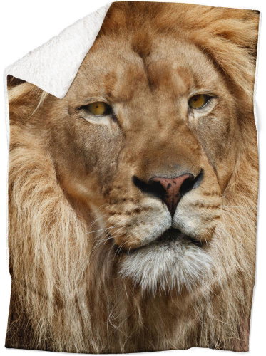 IMPAR Lamb blanket Lion's eye view, 150 × 120 cm - Blanket - Main image