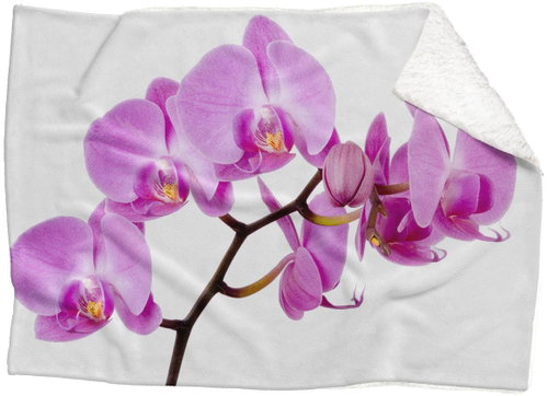 IMPAR Lambskin blanket Pink orchid, 150 × 120 cm - Blanket - Main image