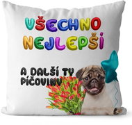 Impar Pillow Happy Birthday - p*ssy - Pillow